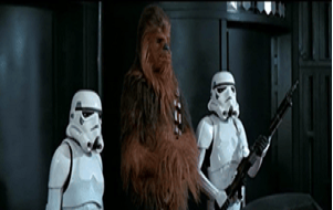 Storm troopers and Chewbacca